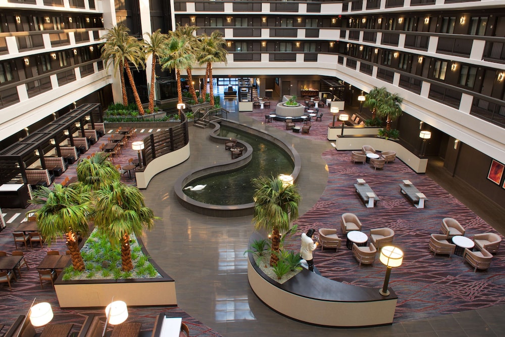 Embassy Suites by Hilton Las Vegas - photo 13