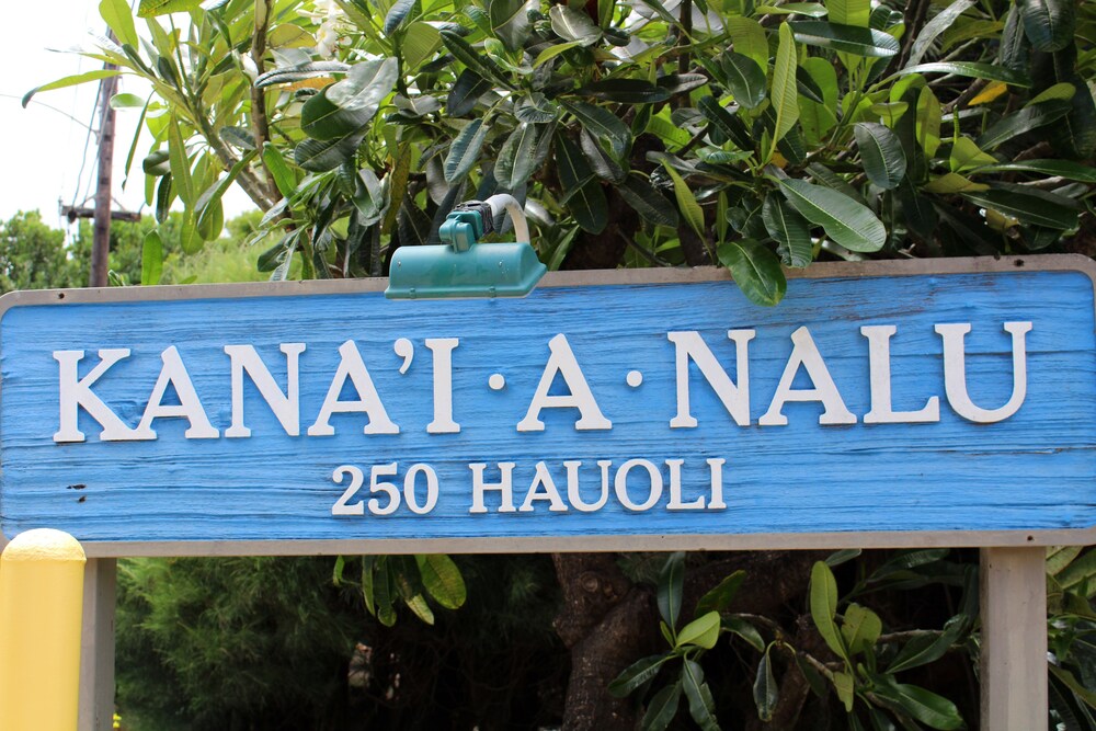 Kanai A Nalu Resort 108 - photo 3