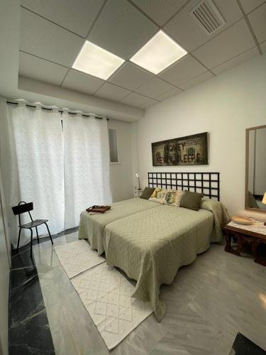 Apto. Singular En la Mancha Banco de Inversiones — hotel in Argamasilla De Alba