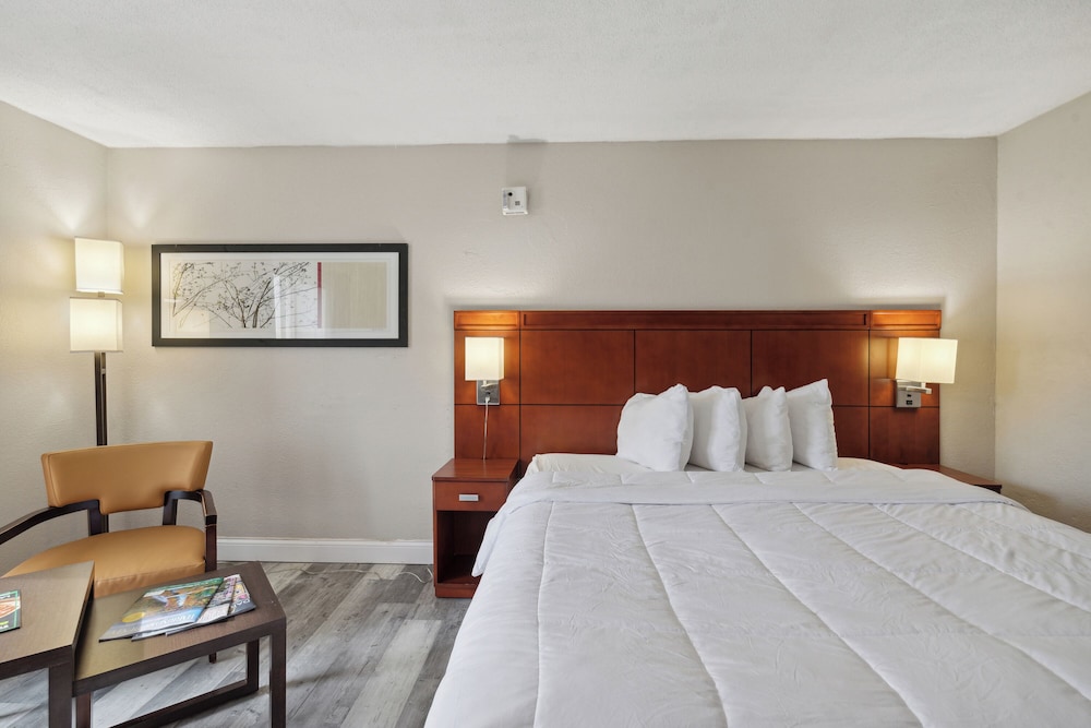 Miami Suites Hotel - photo 16