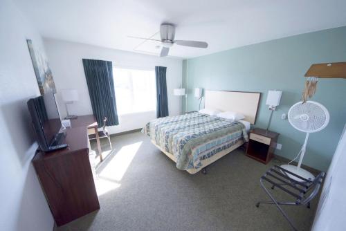 Rewak Studios - photo 22
