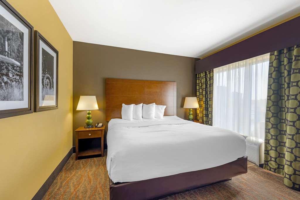 Best Western Plus Tupelo Inn & Suites - photo 20
