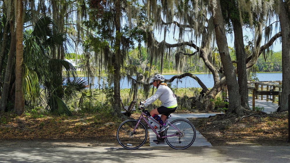 Holiday Inn Express Crystal River by IHG - photo 39