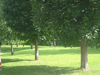 Logis Hôtel des Grottes in Auxerre, France