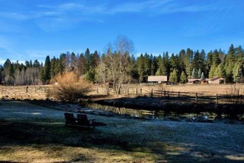Cold Springs Resort - photo 33