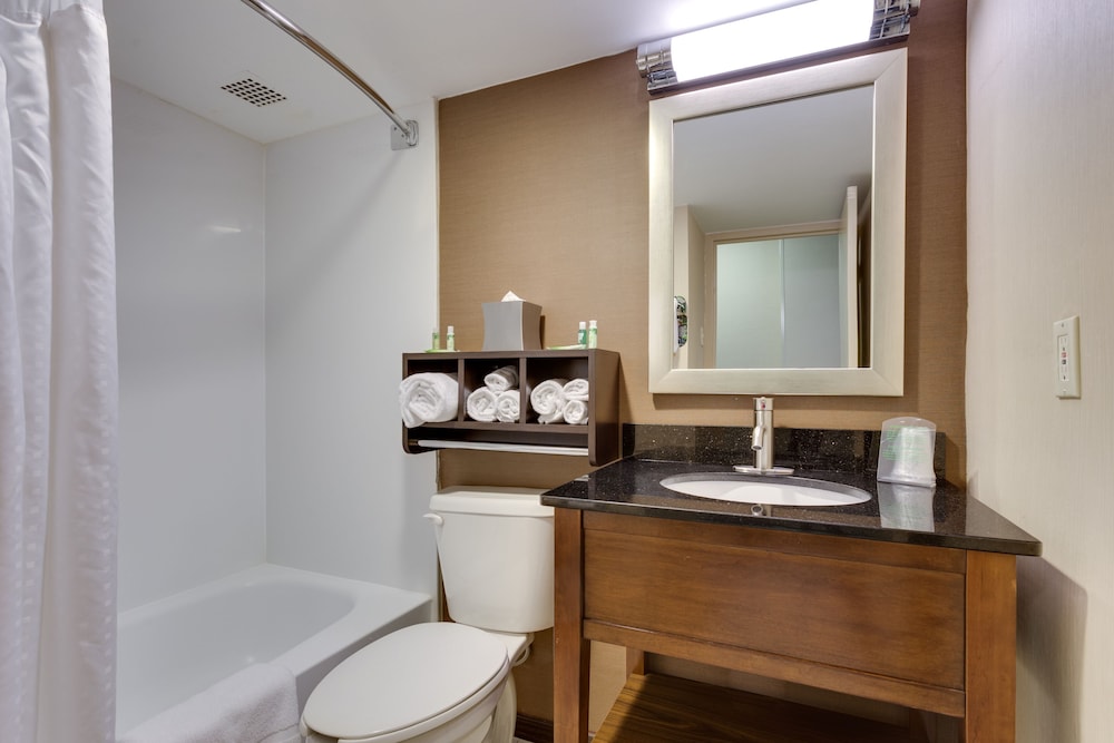 Holiday Inn Express Washington DC SW Springfield - photo 10