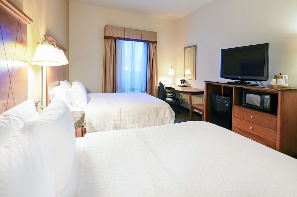 Hampton Inn Hampton Newport News - photo 8
