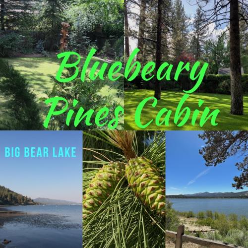 Bluebeary Pines Perfect Escape Private Hot Tub Walk To Ski Shuttles in Big Bear Lake, United States