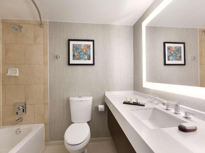 Embassy Suites by Hilton Chicago Lombard Oak Brook - photo 141