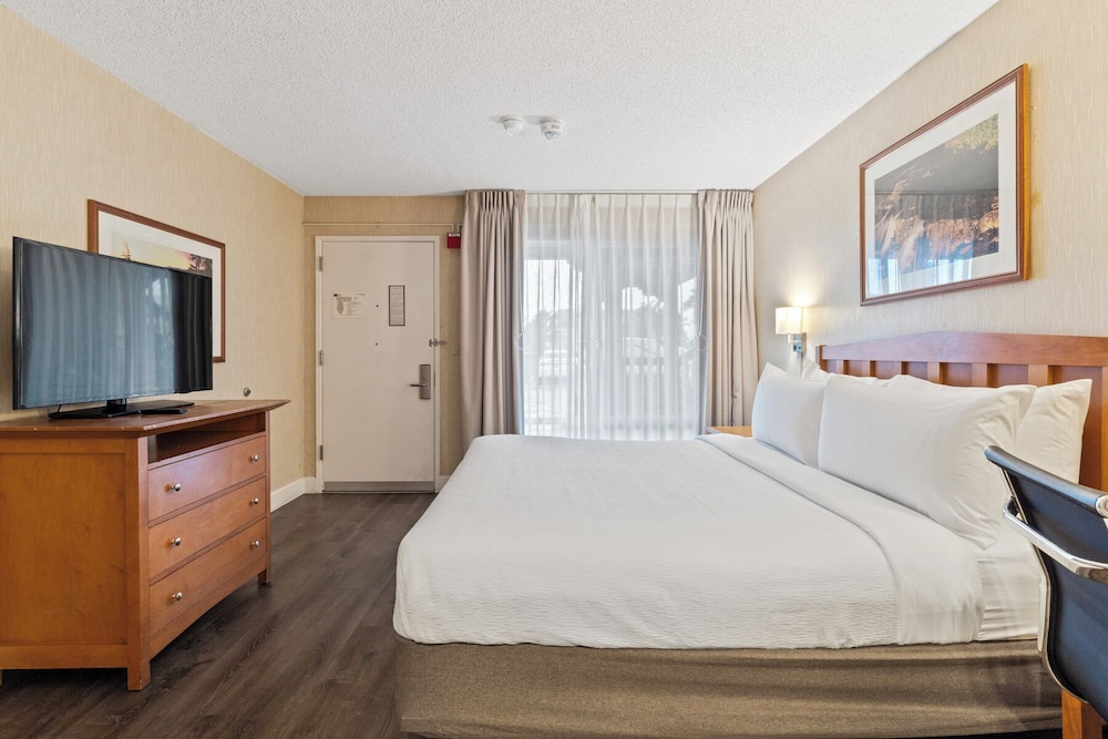 Vagabond Inn Executive San Francisco Airport - photo 15