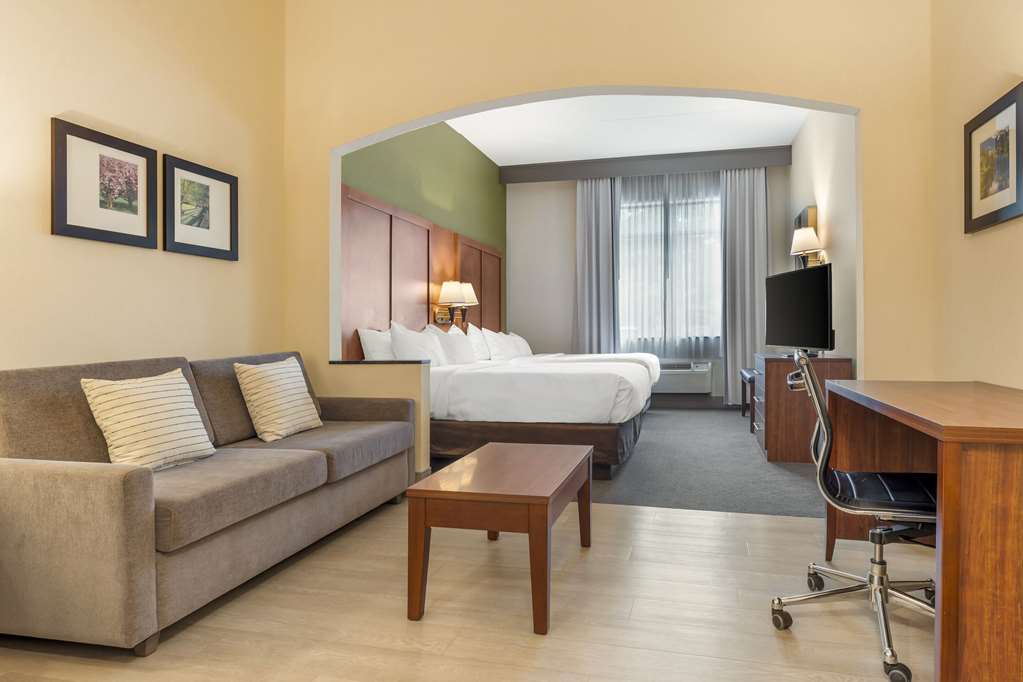 Comfort Inn & Suites LaVale Cumberland - photo 35
