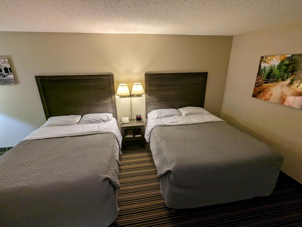 Woodfield Inn and Suites - photo 3