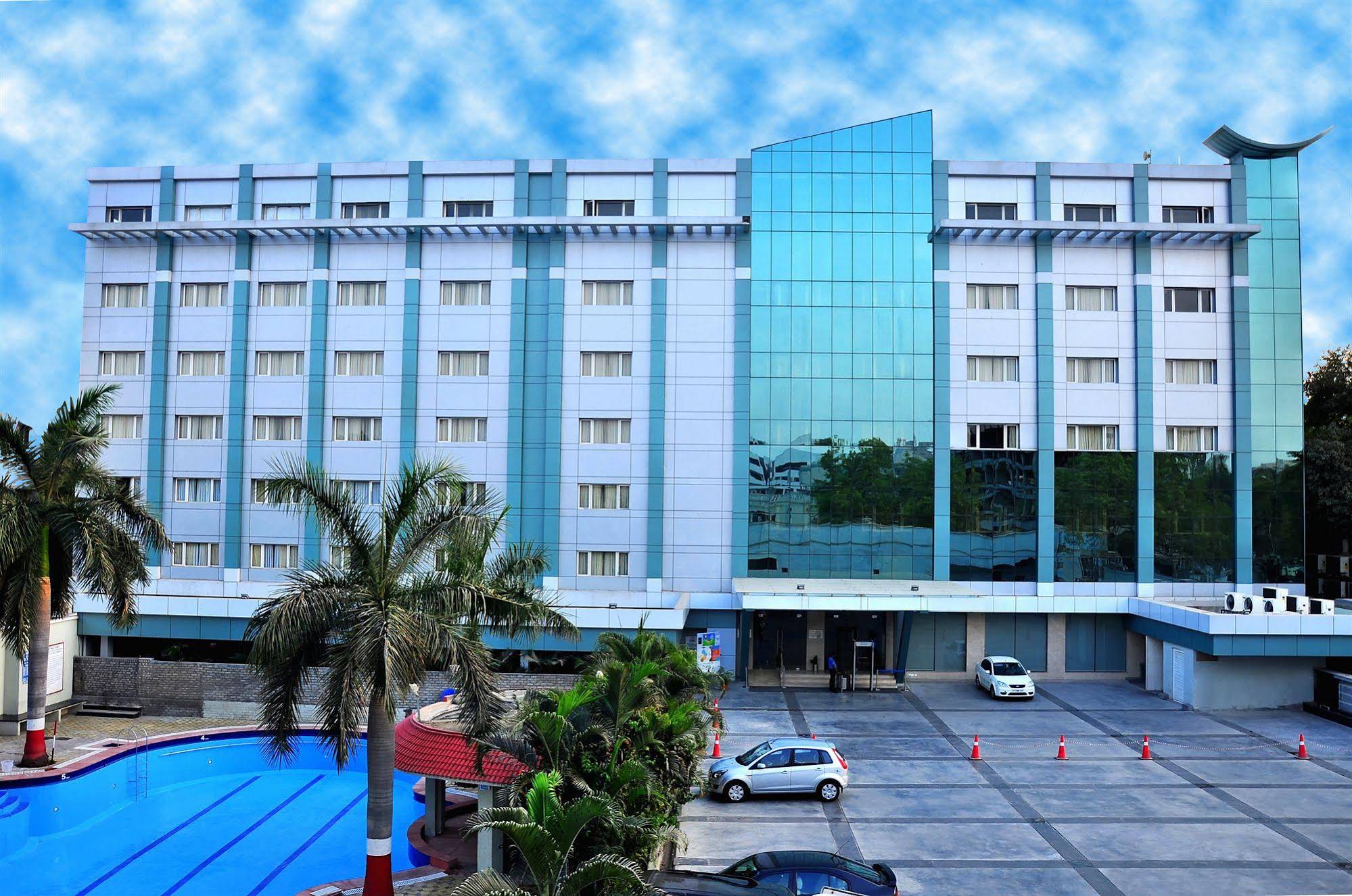 Manasarovar The Fern