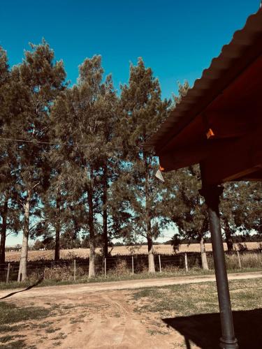 Don Segundo — Lobos — photo 4