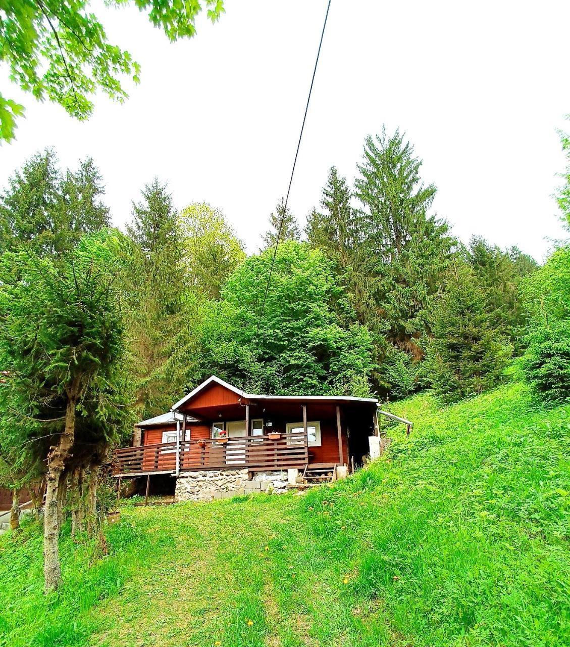 Cabana Din Padure — hotel in Poiana Vadului