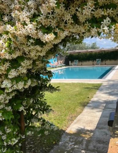 Villa Borgeri — 4-Star Luxury Hotel in Castagneto Carducci, Italy