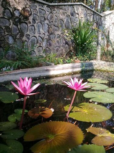Hotel Paradiso — 4-Star Luxury Hotel in Unawatuna, Sri Lanka
