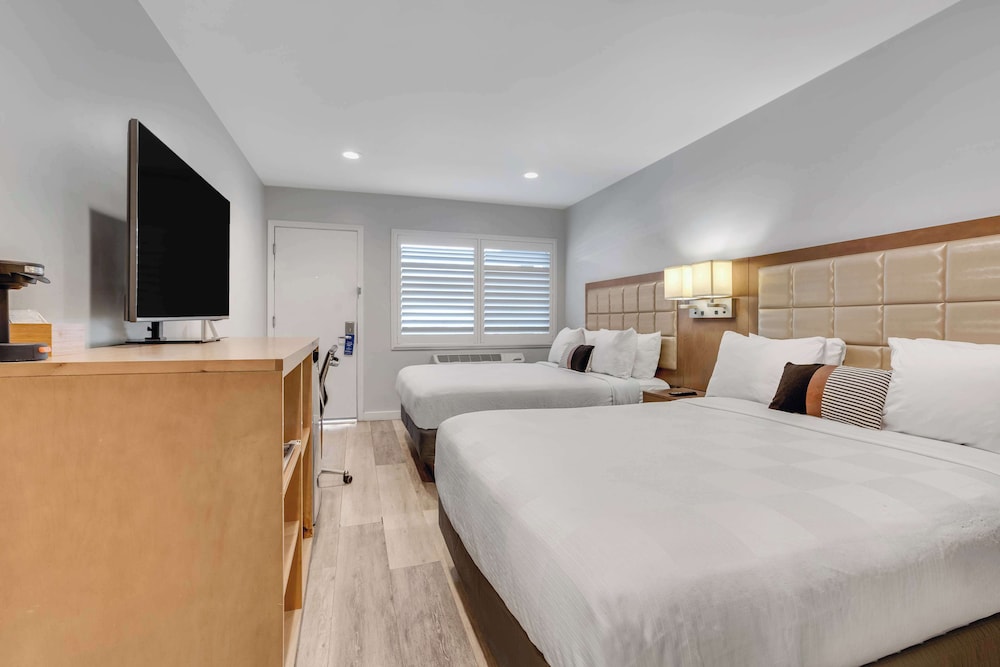 Sather Berkeley SureStay Collection by Best Western - photo 11