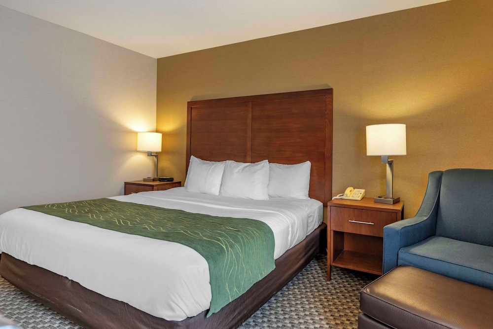 Comfort Inn Charlotte - photo 9
