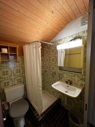Hotel Péz Ault — Disentis — photo 2