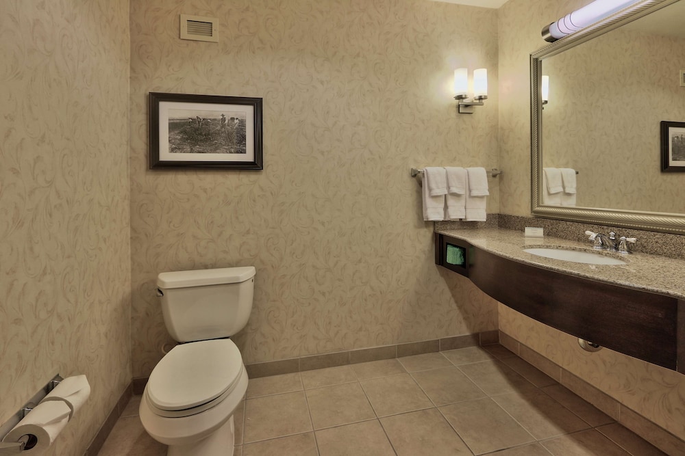Hilton Garden Inn Las Cruces - photo 29
