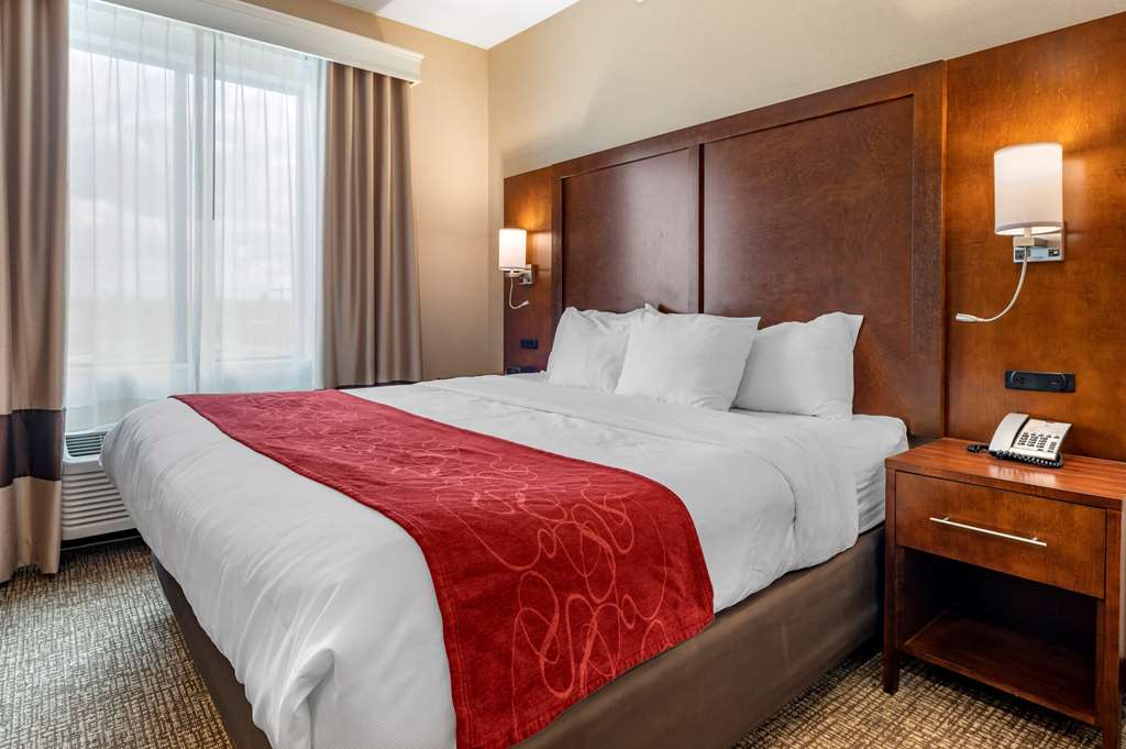 Comfort Suites Columbus Airport - photo 17