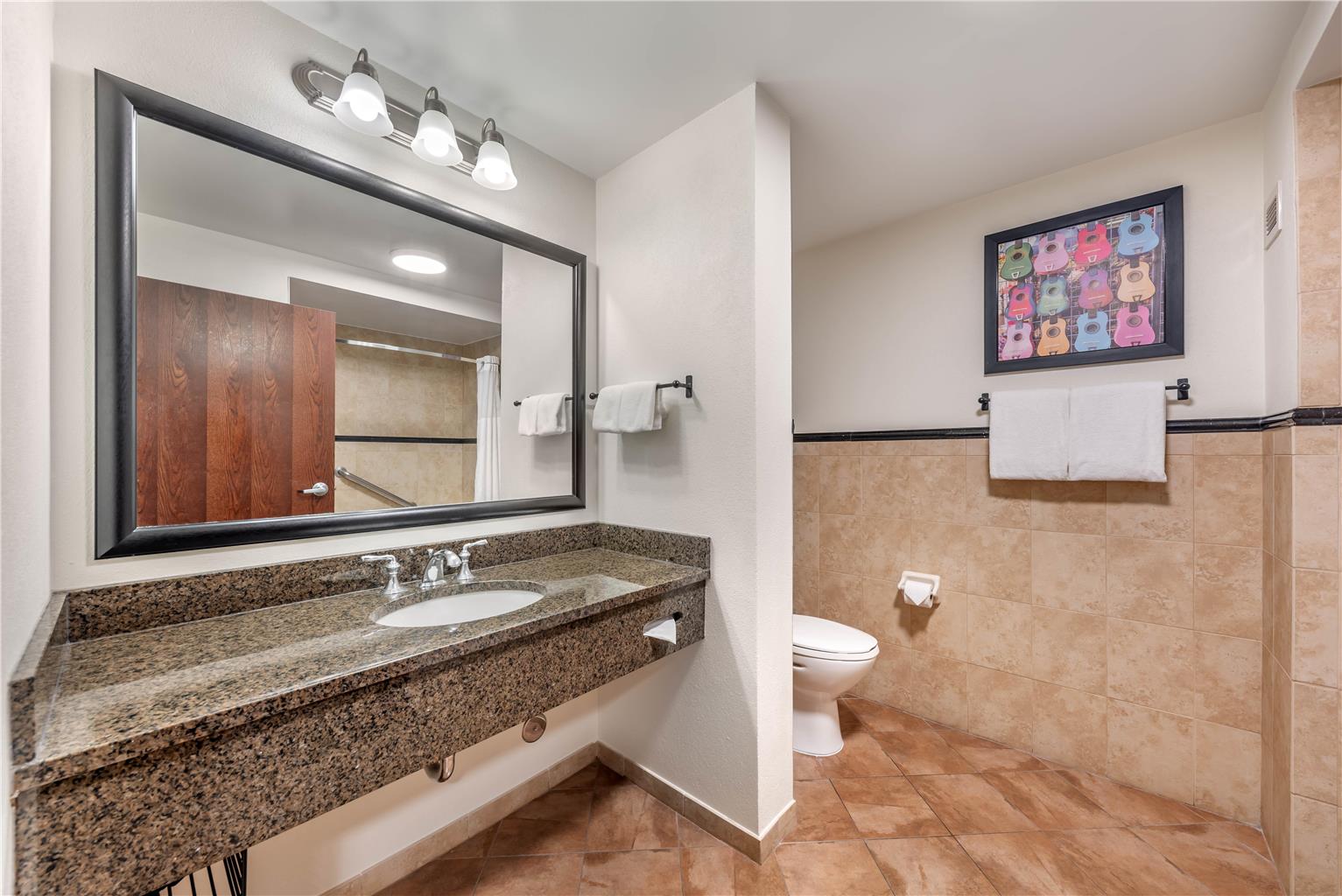 Drury Plaza Hotel San Antonio North Stone Oak - photo 37