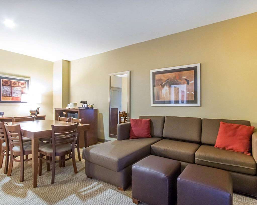 Comfort Suites Abilene Central - photo 12
