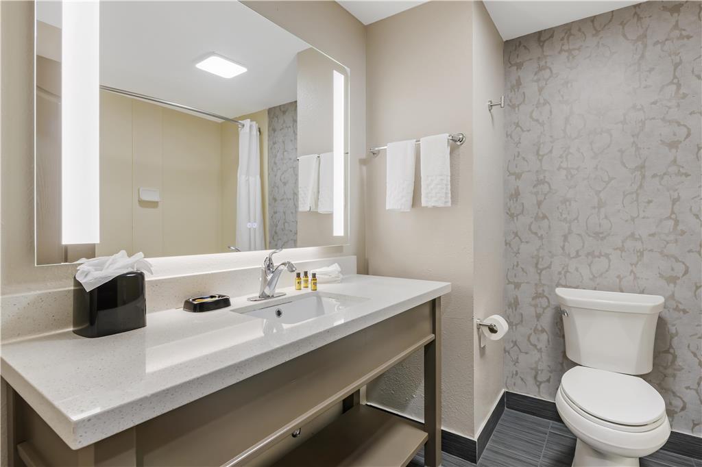 Best Western Plus Sanford Airport Lake Mary Hotel - photo 28