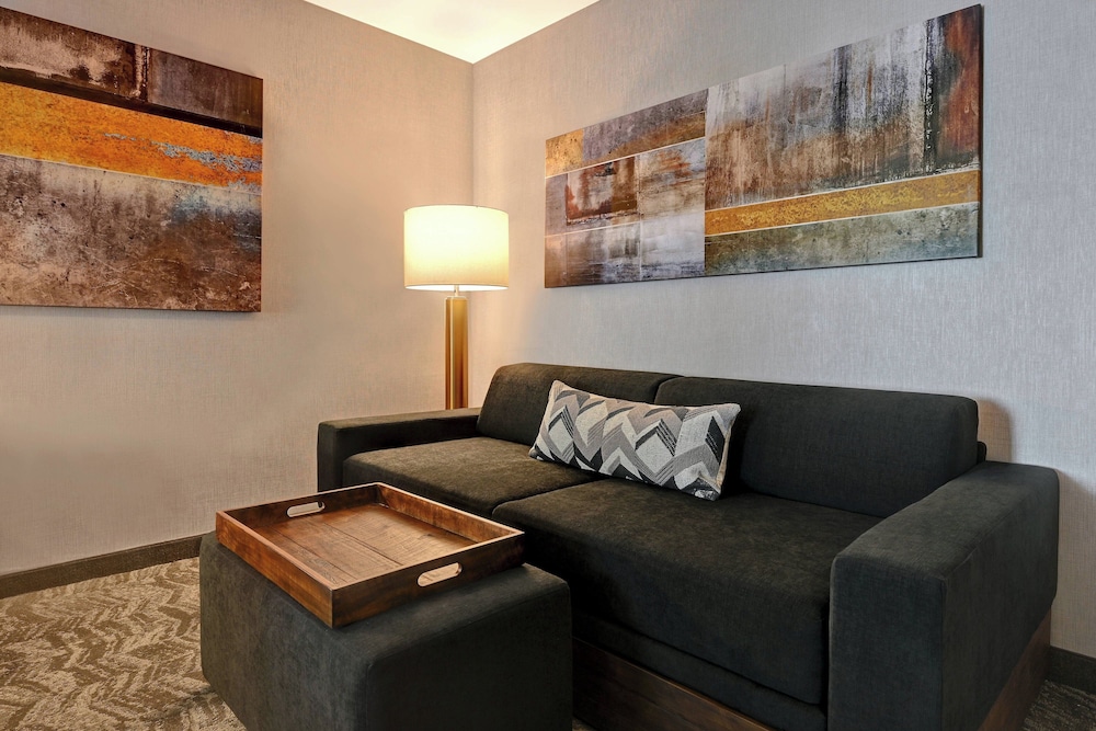SpringHill Suites by Marriott Albuquerque University Area - photo 16