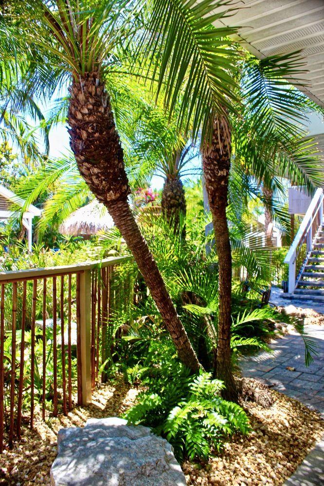 Coconut Grove Resort By Techtravel - photo 5