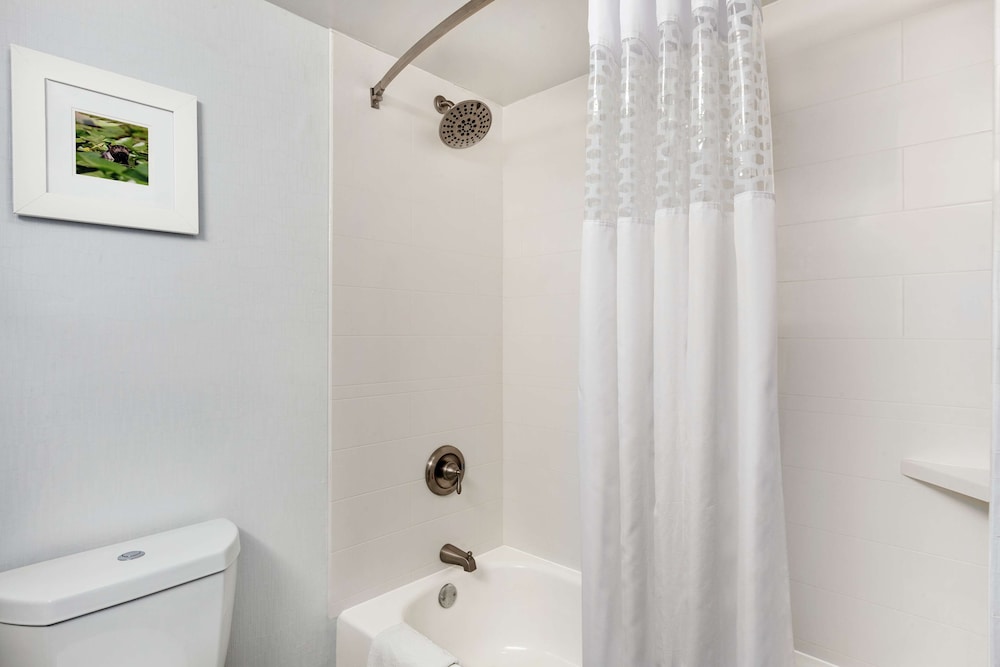 Hampton Inn Waycross - photo 10