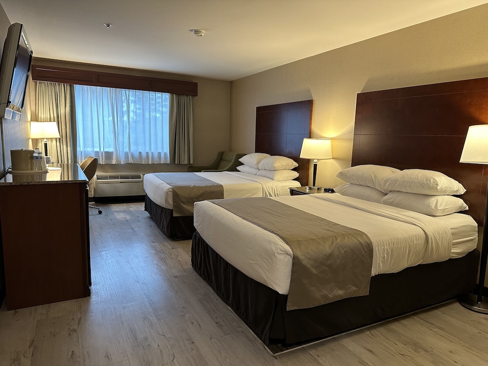 Medallion Inn & Suites - photo 12