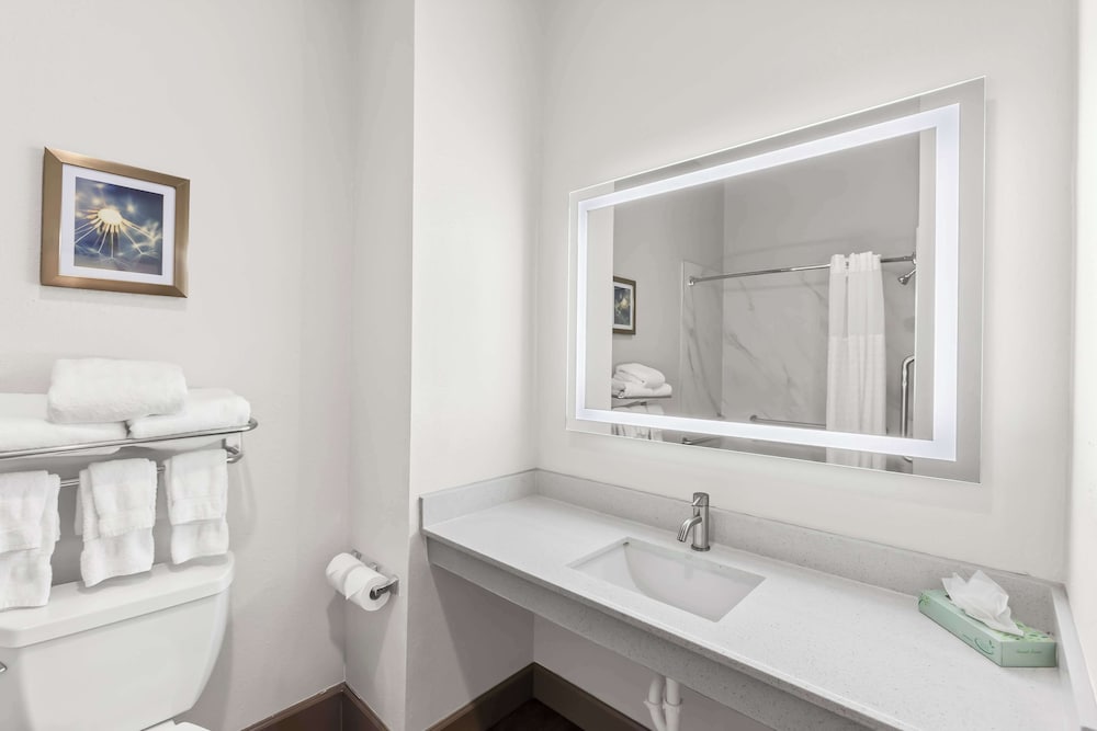 Quality Inn & Suites La Porte - photo 20