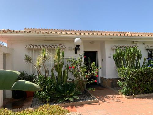Beach Bungalow — 4-Star Luxury Hotel in Malaga, Spain