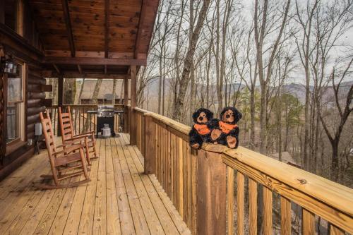 Beary Cozy Hot Tub Fireplace Free attraction Tickets - photo 5