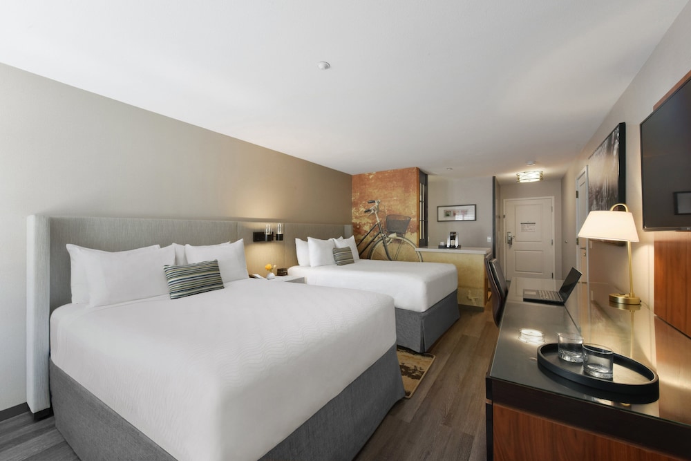 Hotel Indigo Napa Valley by IHG - photo 24