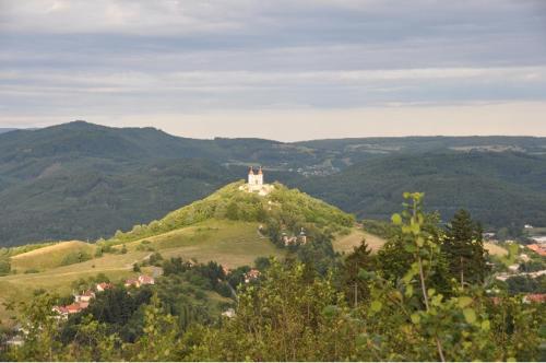 Cerveny Dom — Unknown City — photo 4