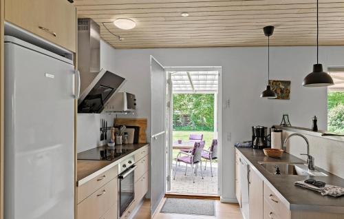 Pet Friendly Home In Farsø With Kitchen — Farso — photo 5