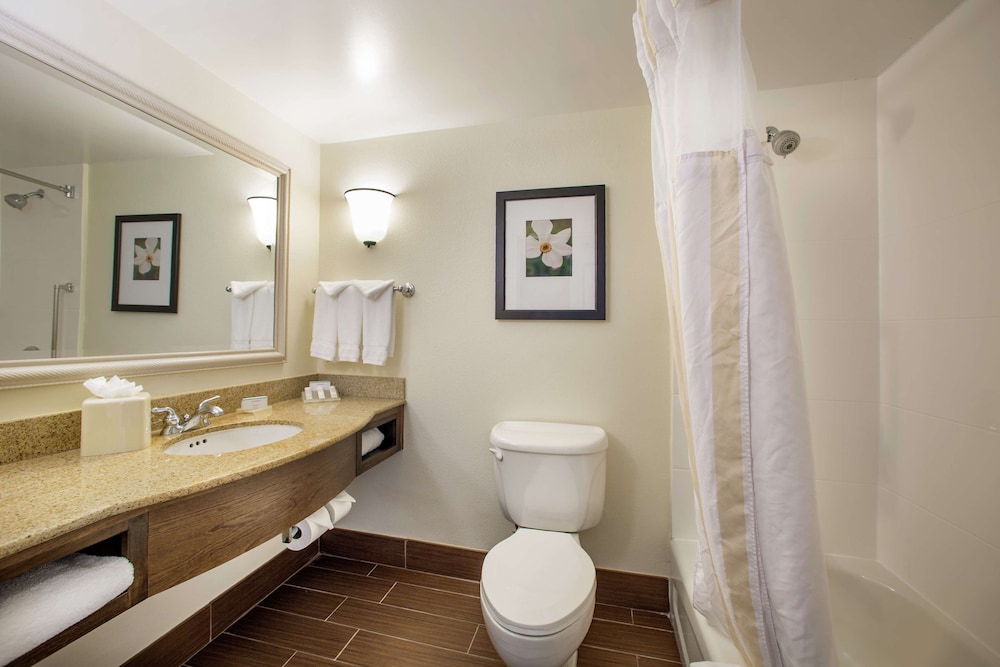 Hilton Garden Inn Richmond Innsbrook - photo 18