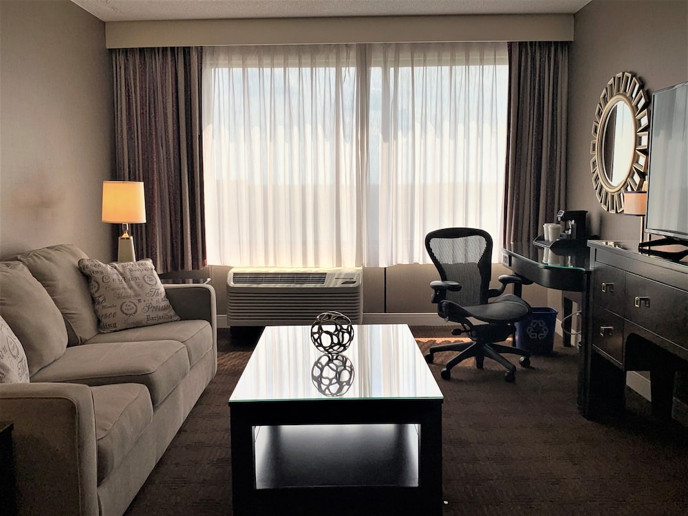 Sheraton Lisle Naperville Hotel - photo 13