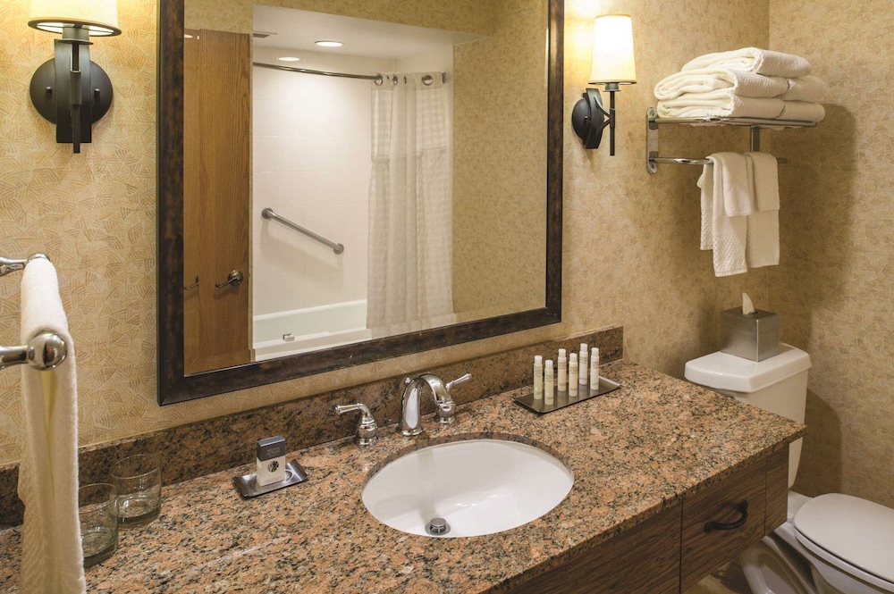 DoubleTree by Hilton Seattle Airport - photo 29