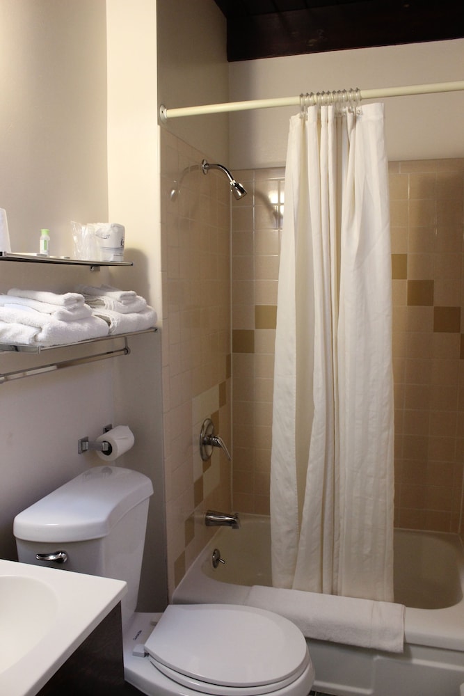 Safari Inn - photo 21