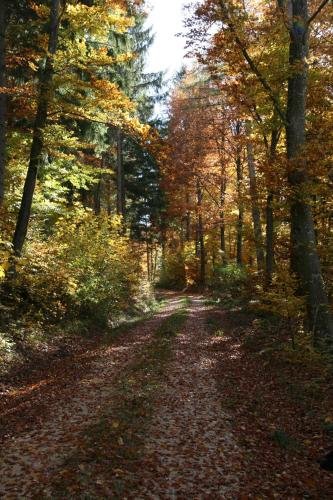 Sontheimer Wirtshv usle — hotel in Steinheim Am Albuch
