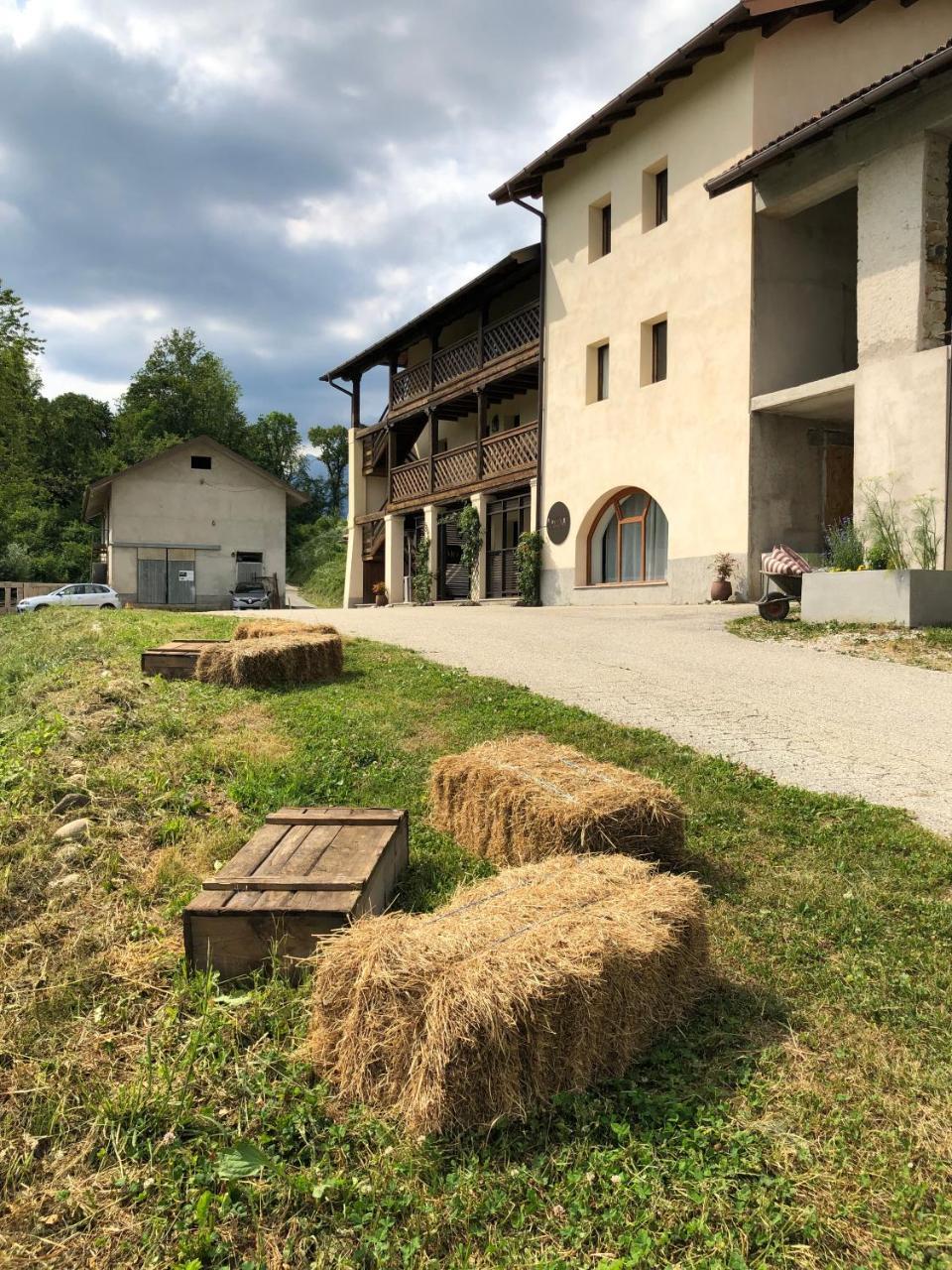 Appartamento Immerso Nella Natura Con Parcheggio Narciso in Belluno, Italy