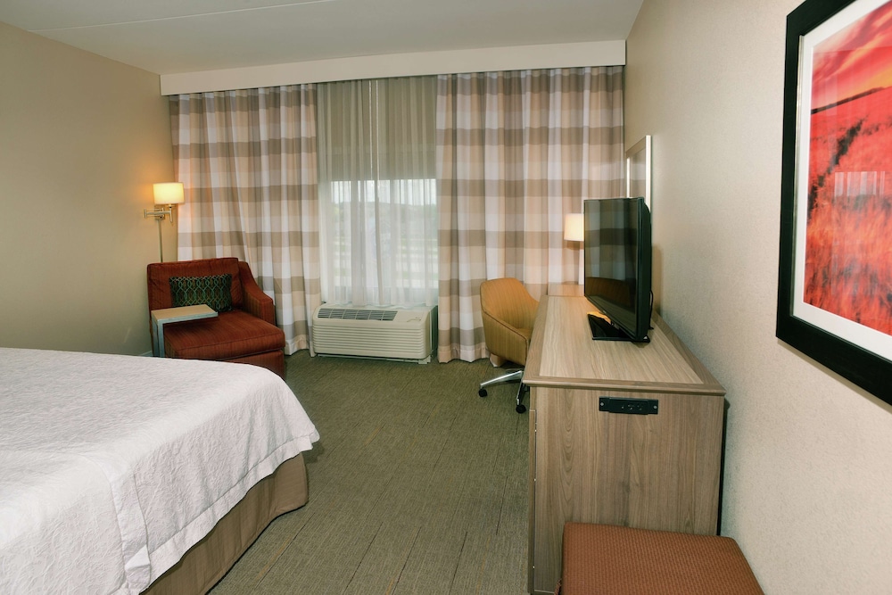 Hampton Inn Springfield Southeast - photo 13