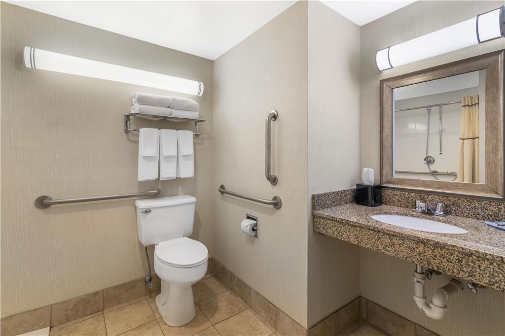 Best Western Royal Plaza Hotel & Trade Center - photo 18