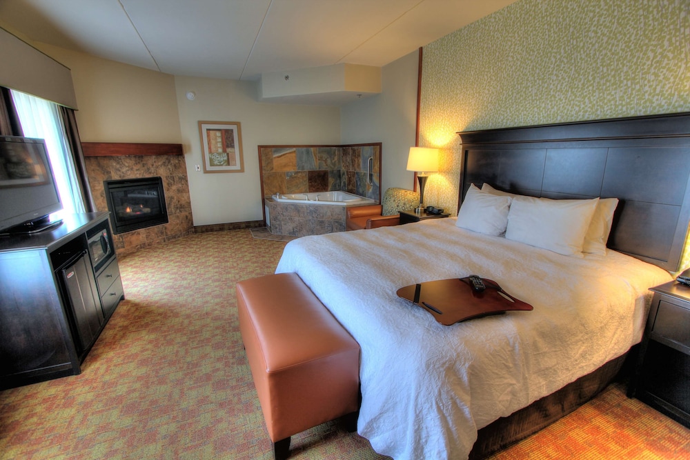 Hampton Inn Pigeon Forge - photo 15