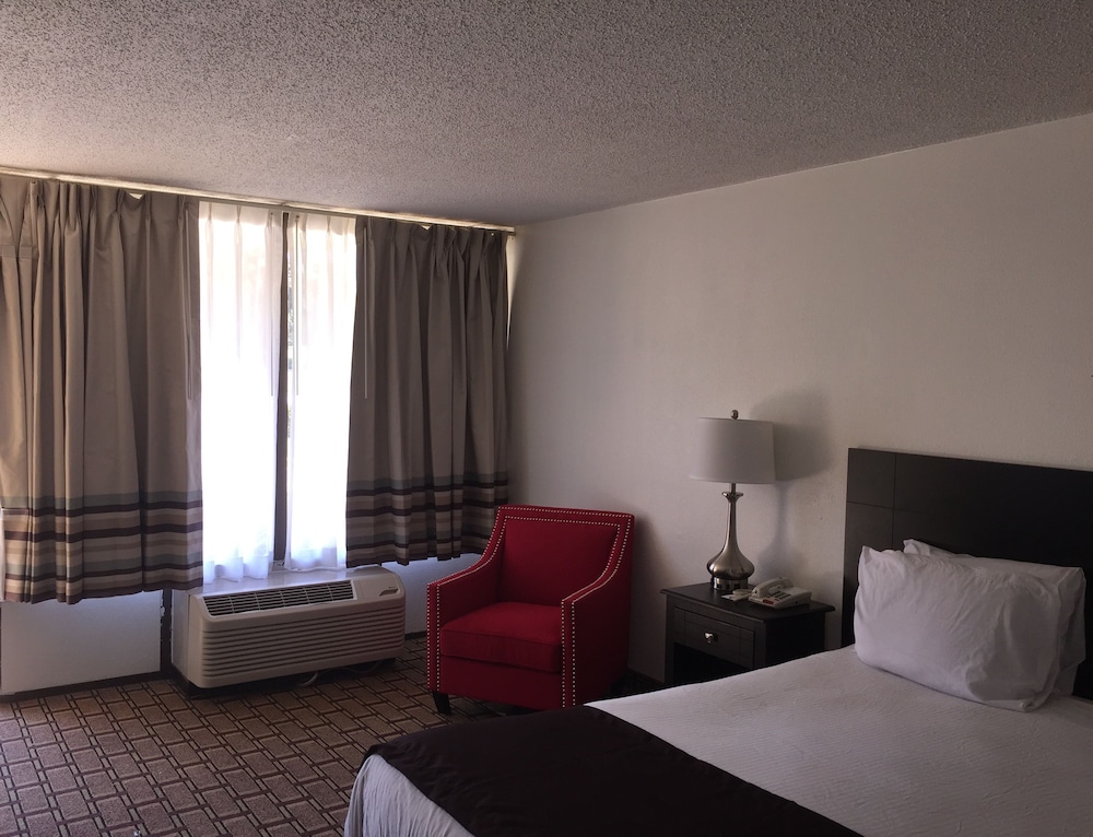 Hotel Francis - photo 4