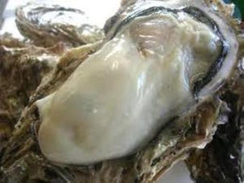 Tomo Seaside Hotel in Fukuyama, Japan